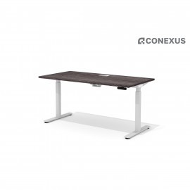DD-80-2.1 + DD-1601-DD02 Прямой стол (подъёмный механизм) с люком Drive чёрный ясень